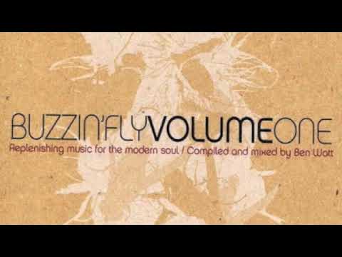 BUZZIN ´FLY VOL 1 Replenishing music for the modern soul  mixed by Ben Watt