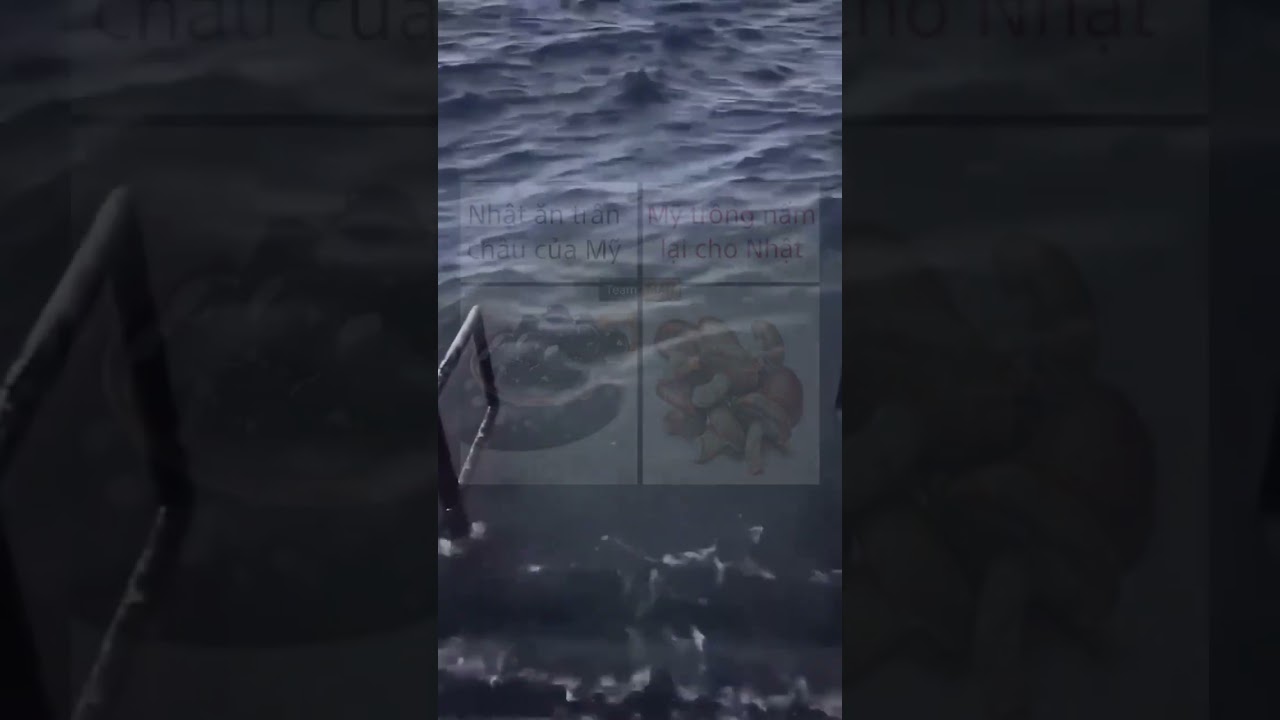 hãy học lịch sử để hiểu nghĩa 🗿 #memes #shorts #viral