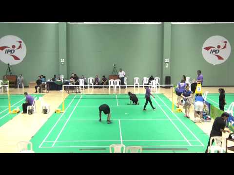 2015 Peru Open (IC) - XD SF - Careme/Tran [FRA] vs Ng/Bruce [CAN] - Match