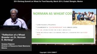 Reflection of a Wheat Breeder on Dr. Norman E Borlaug by Sanjaya Rajaram (Mexico)