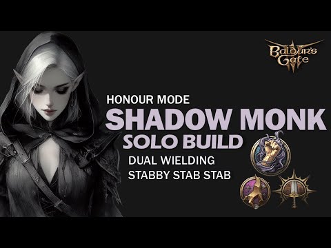 SHADOW MONK: Dual Wield Multi-Class Build  - Build & Gear | Honour Mode (Solo Viable)
