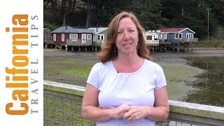 Nick's Cove History - Q&A with Dena Grunt