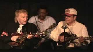 Blue Moon of Kentucky