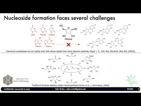 Roche, Tyler, Flashtalk: Ketoses & the nature of Prebiotic Sugar-Forming Reactions