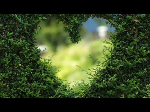 Petit Biscuit â€“ Sunset Lover | One Hour | - YouTube