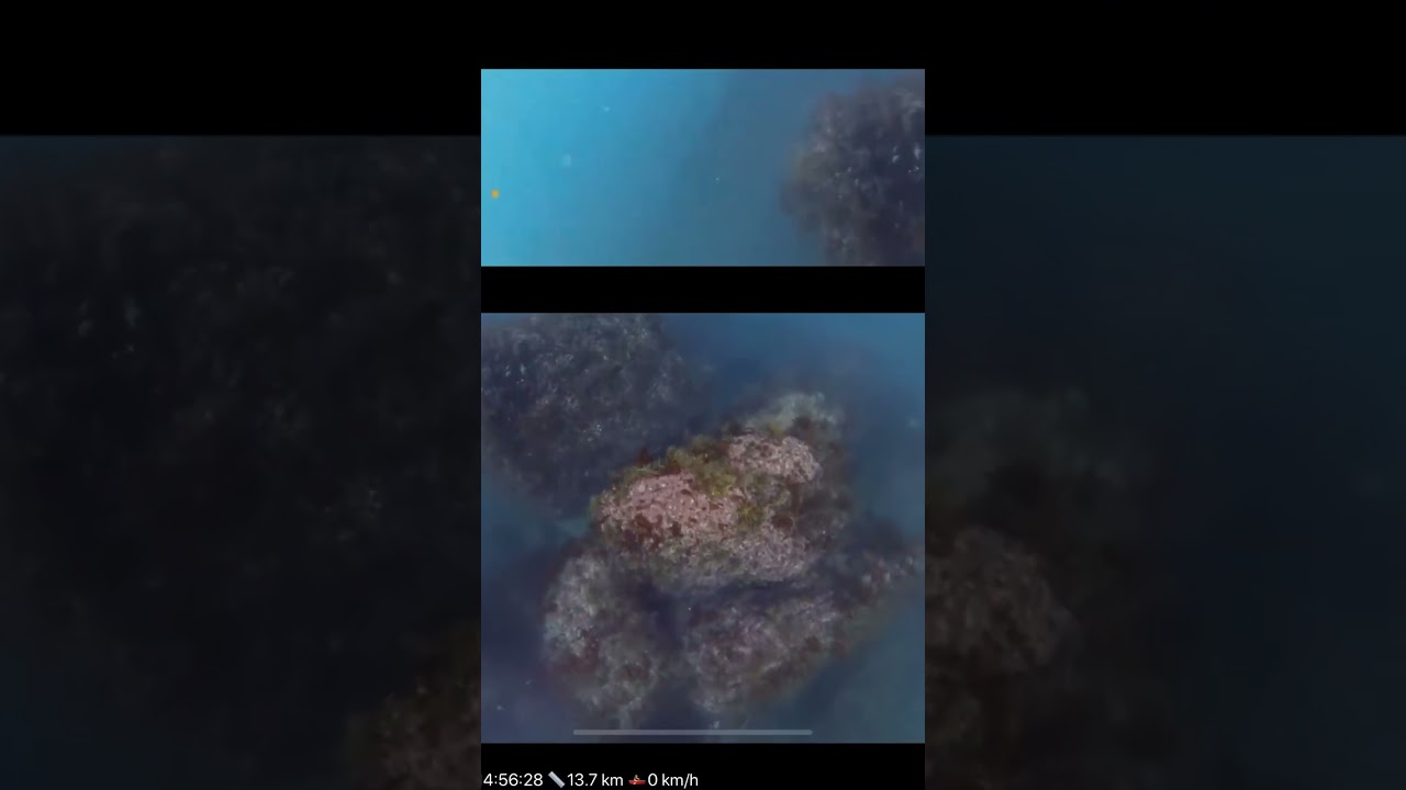 海中カメラプロジェクト再始動　魚皆無だが今後に期待 | #kayakfishinggol (#Twitch)