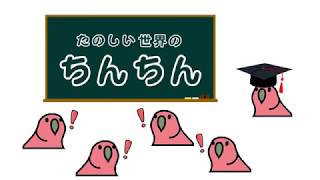 たのしい雑学