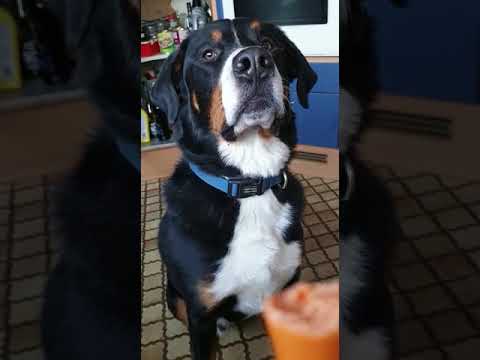 Niemand ist am 1. April sicher