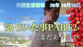 米国生活 ハワイライフ 4日目 気づいた事PART2