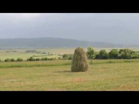 Așezare, „Dealul Munteni” comuna Răucești