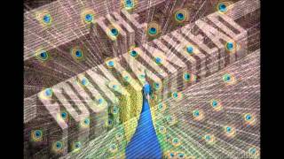 The Bluetones - The Fountainhead (HQ) - Expecting To Fly - 1995