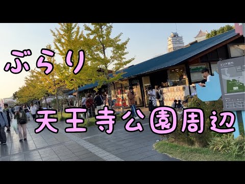 [Osaka/Tennoji] Passeie pela estação, incluindo o festival gastronômico e o Tennoji Mio no Parque Tennoji.