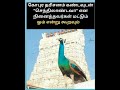 முருகன் வாக்கு Murugan Murugansongs Shortsfeed Motivation Viralvideo Virsl
