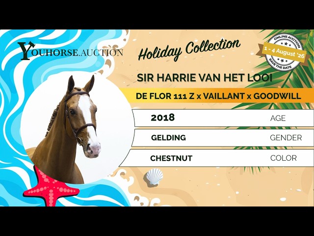 Sir Harrie van het Looi