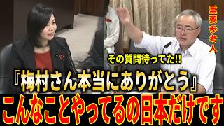 【参政党】『その費用まで国民負担はおかしいです』梅村みずほが再生エネルギーの闇に切り込む！【参議院】【国会】