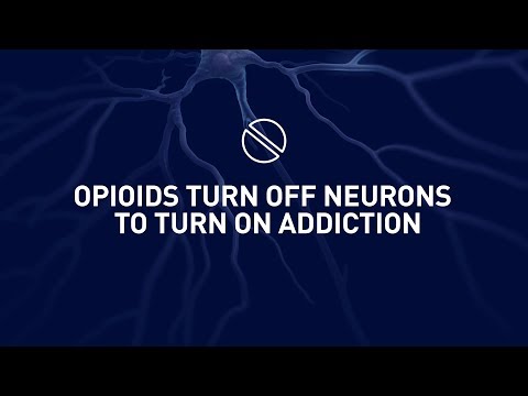 Why the human brain loves opioids
