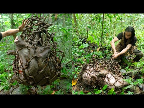 Survival Instinct - The 6 Month Survival Challenge In The Jungle - part 15