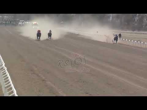 BELTRAN   7°  INDIA   3-9-23