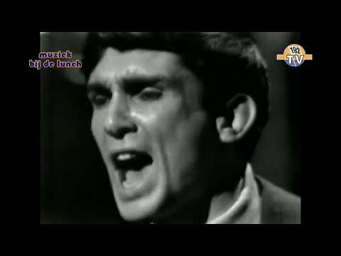 Gene Pitney - I Must Be Seeing Things  (1965)