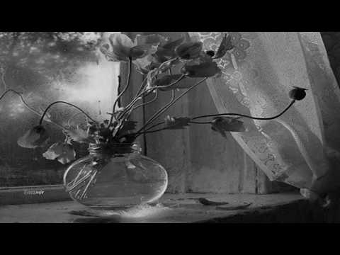 Powrócę tam - Waldemar Kocoń