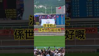 浪漫戰士係世界上最好嘅   ロマンチックウォリアーは世界一     #shorts