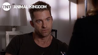 10 лучших моментов сериала "Царство животных 2 сезон" на английском 2017