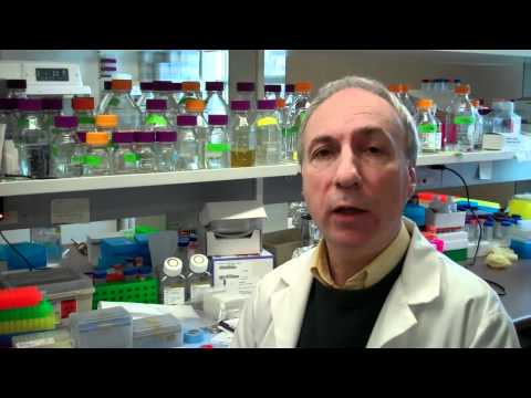 UAlberta medical researcher talks about new prion discovery