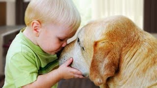 Dogs and Babies are Happy Together Compilation