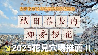 ❐ 織田信長的如夢櫻花｜幾乎沒有觀光客 2025 京都花見穴場2
