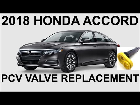 10th Generation Honda Accord PCV Replacement (2018 1.5 Liter Turbo)