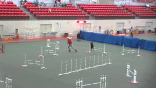 Master JWW 2015 08 09 Concord 26 70 1st 3rd fastest in 20 56 dogs