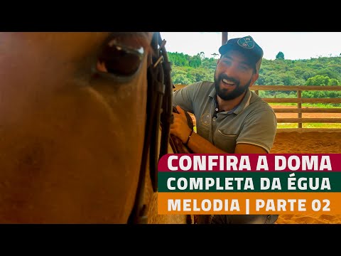 PASSO A PASSO DOMA MELODIA | PARTE 02