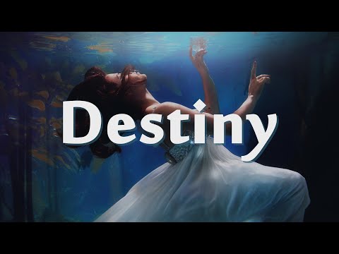 amva. & ADI2 - Destiny (Lyrics)