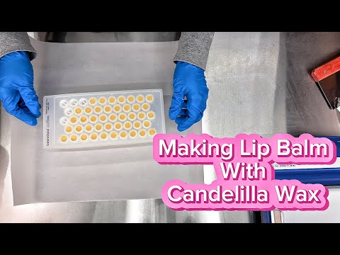 Making Lip Balm With Candelilla Wax