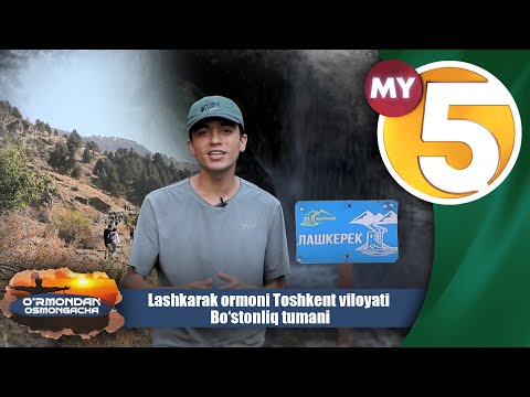 Lashkarak o’rmoni Toshkent viloyati Bo‘stonliq tumani | O'RMONDAN OSMONGACHA