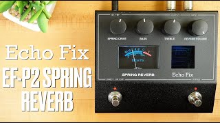 Video thumbnail for Echo Fix EF-P2 Spring Reverb by Pedal of the Day
