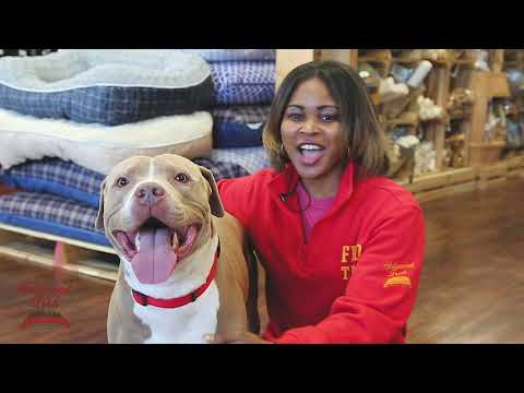 Hollywood Feed - We Are A Different Breed