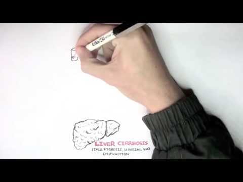 Cancer Introduction I