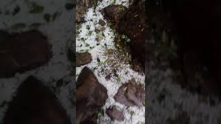 preview picture of video 'Granizo no Pico Paraná - 15/09/2018'