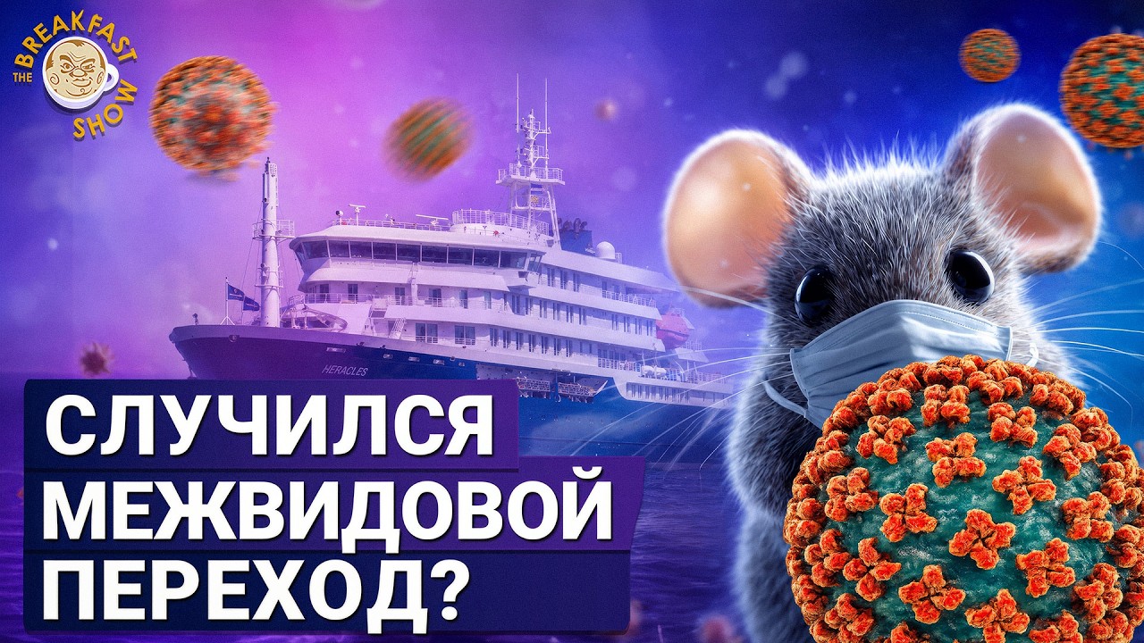 Зараженный корабль будет плавать, пока все не умрут? | Эпидемиолог Михаил Фав