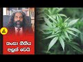අලුත් වුණු කංසා නීතිය අපි නොදන්න Law Api Nodan