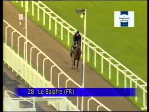 Lot 28 Boubafly (FR) to be sold at Cheltenham 12/12/14
