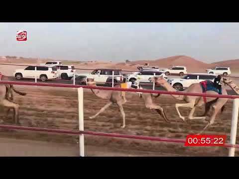 ش 5 (ممدوحه) لـ حمد سالم بن ثعلوب الدرعي 3:03:08 ، شارة الصندوق 2026/08/14 فطامين الرقيعات