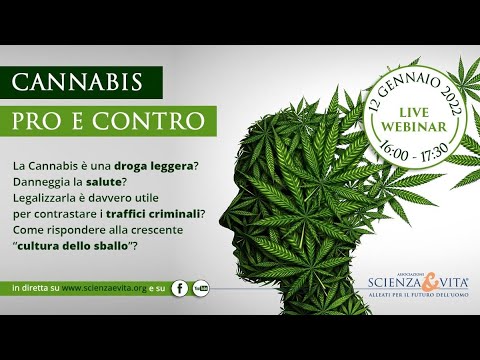 LIVE WEBINAR | CANNABIS, PRO E CONTRO. È UNA DROGA LEGGERA? LEGALIZZARLA È DAVVERO UTILE ?