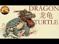 Chinese Dragon Turtle Everything You Need To Know
