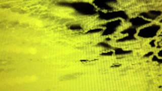 danko jones- i think bad thoughts