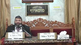 הרב אייל עמרמי  •  הקדוש ברוך הוא מתלבש בבריאה (בית הכנסת מוסאיוף - ערוץ חדש) - התמונה מוצגת ישירות מתוך אתר האינטרנט יוטיוב. זכויות היוצרים בתמונה שייכות ליוצרה. קישור קרדיט למקור התוכן נמצא בתוך דף הסרטון