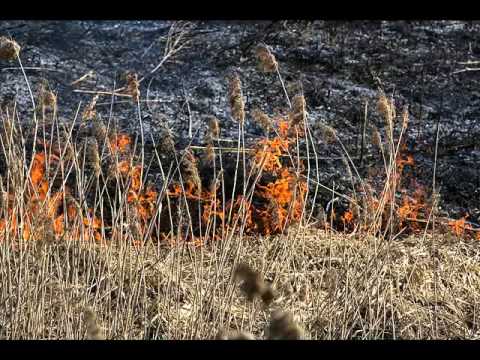 Тоня Матвієнко — Ци чули т-се, миле браття! [Audio]