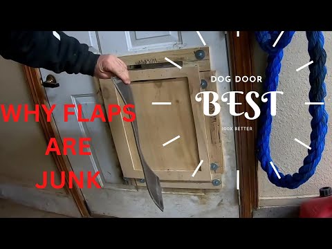 Best dog door for wind and cold