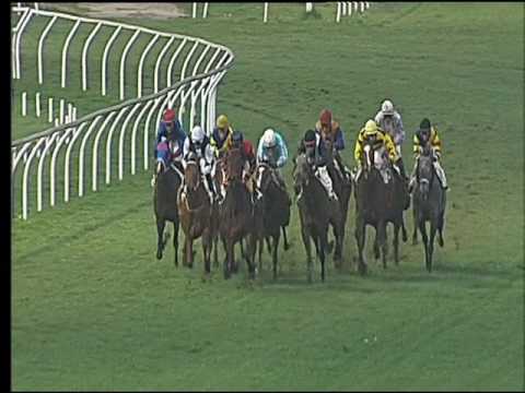 Galoppo 25/02/2017 - 4ª corsa